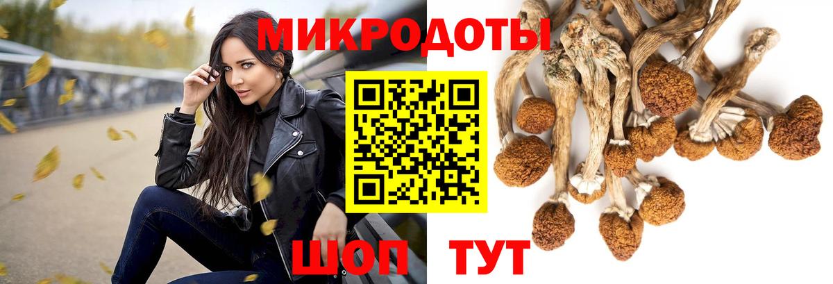 Галлюциногенные грибы ЛСД Нарьян-Мар