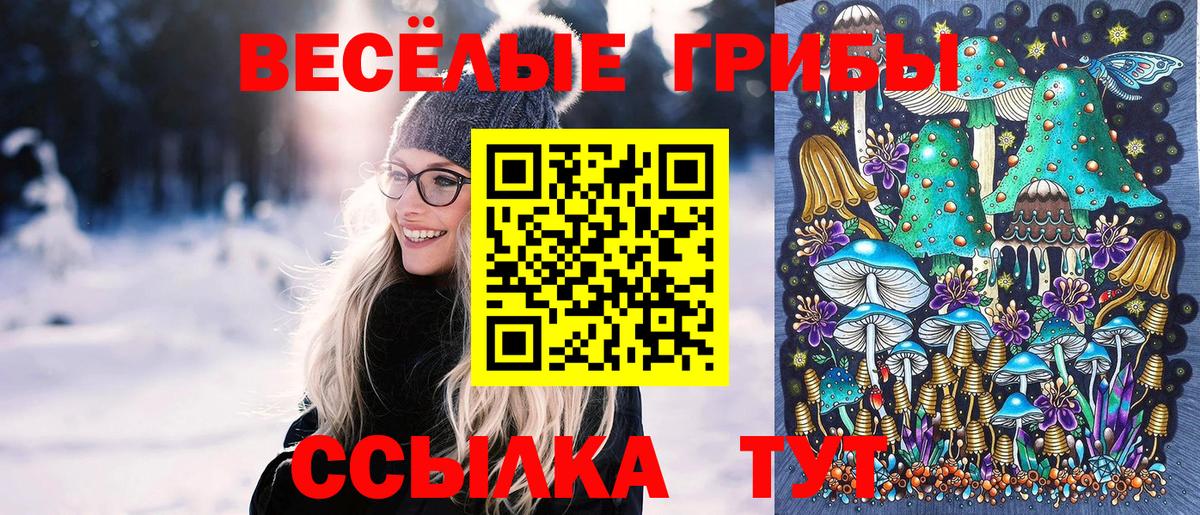 где найти   Галлюциногенные грибы прущие грибы  Нарьян-Мар  Вход с VPN  Псилоцибиновые грибы MAGIC MUSHROOMS 
